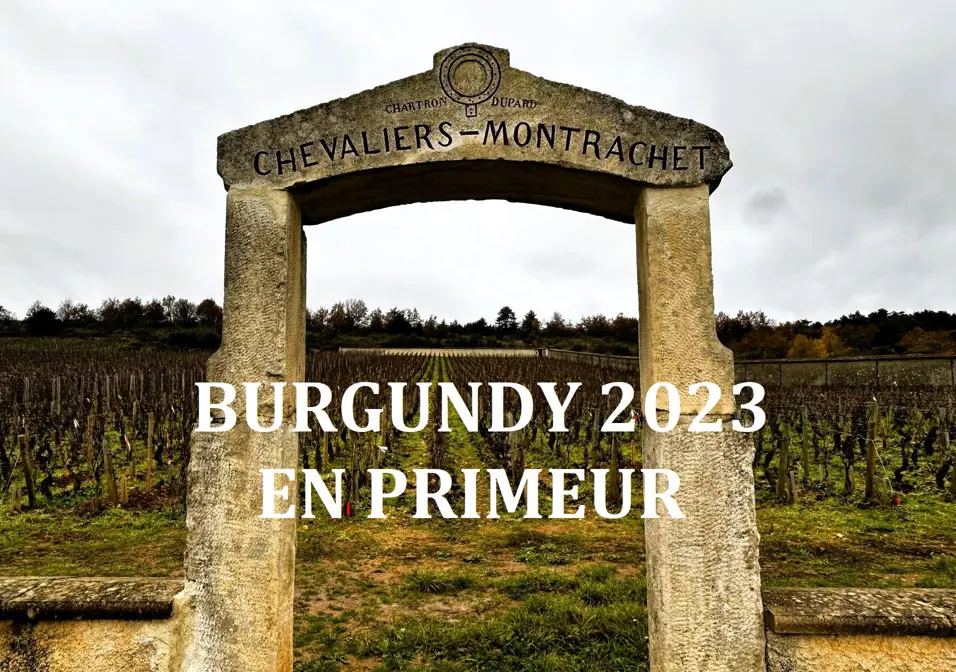 Burgundy 2023 En Primeur banner