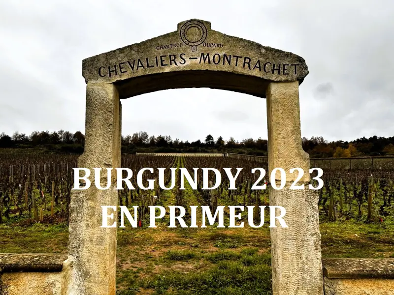 Burgundy 2023 En Primeur banner