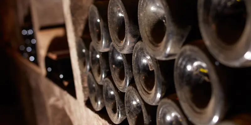 Wines in a cellar
